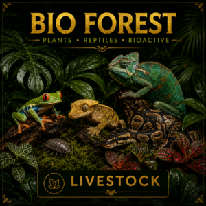 Livestock