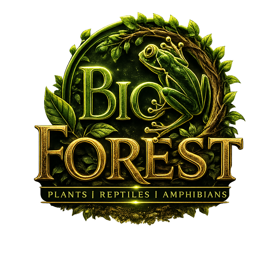 Bio Forest