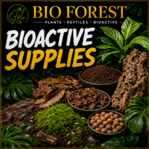 Bioactive Supplies